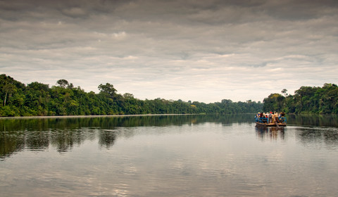 Forêt Amazonienne