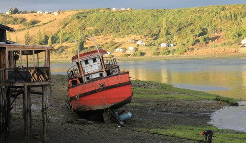 Chiloé - Caleta Hualas