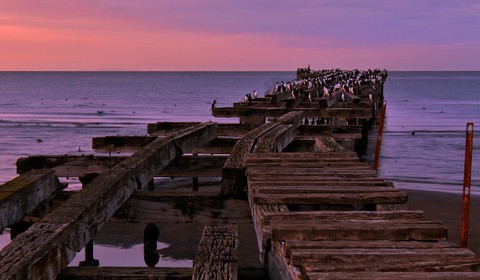 Punta Arenas