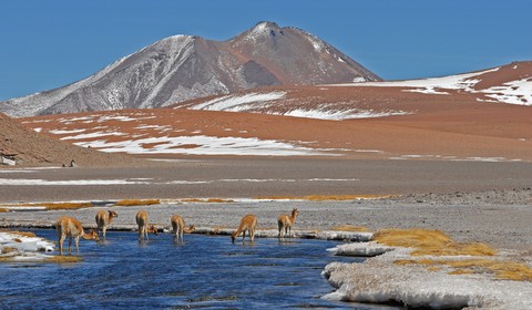 Désert d'Atacama