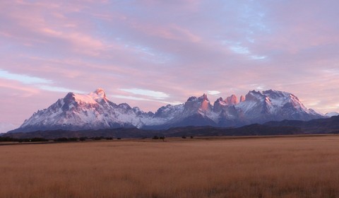 Puerto Natales : Torres del Paine