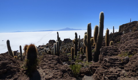 Colchani/Salar d'Uyuni - San Pedro de Quemez