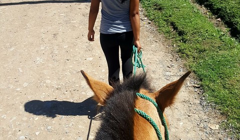 Chachapoyas - Huancas - Chiclayo