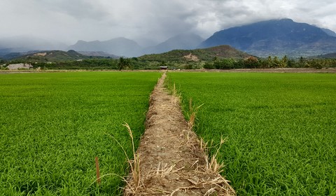 Trujillo - Lima