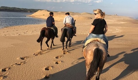 Estancia Vik : excursion à cheval & plage