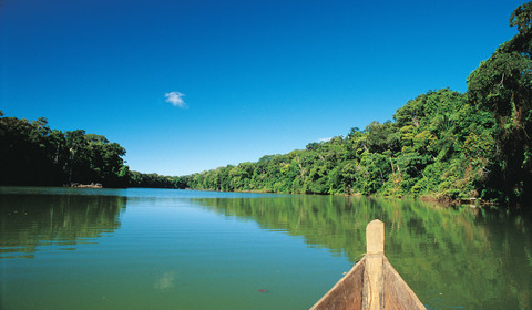 Tambopata (lodge) - Puerto Maldonado - Lima