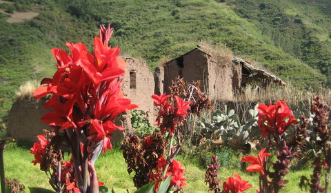 Huyopata - Hidroelectrica - Aguas Calientes