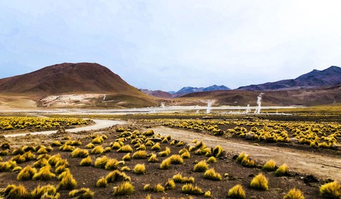 Désert d'Atacama