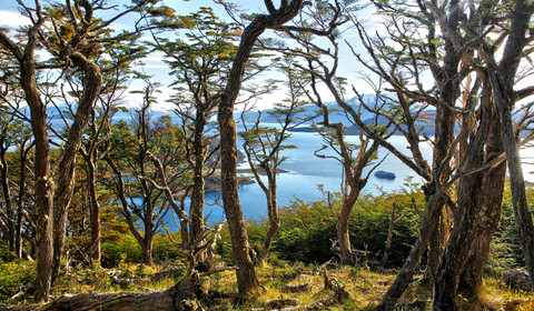 Cap Horn - Baie Wulaia
