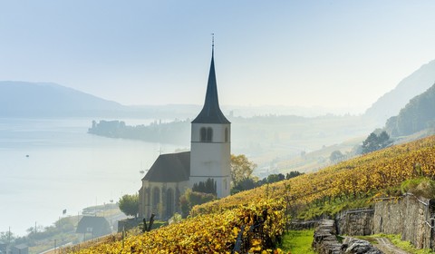 Arrivée à Bienne