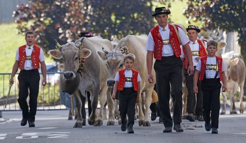 Arrivée à Appenzell