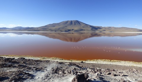 Quetana Chico - Laguna Colorada (journée de voyage)