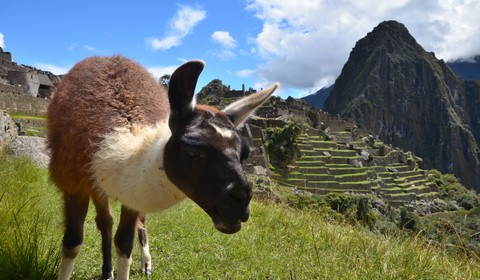 Aguas Calientes - Machu Picchu - Cusco