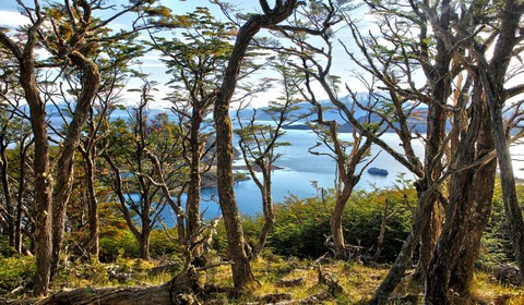 Lakutaia - Baie de Wulaia - Lakutaia