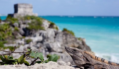 BACALAR - TULUM