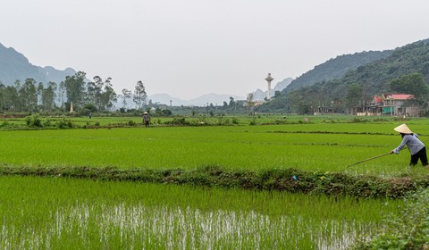 Phong Nha - Vinh
