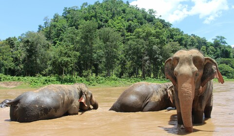 Kanchanaburi (B, L)