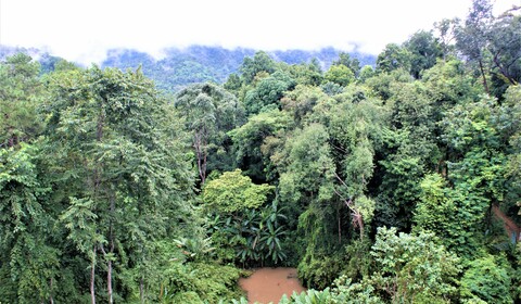 CHIANG MAI - MAE TAENG