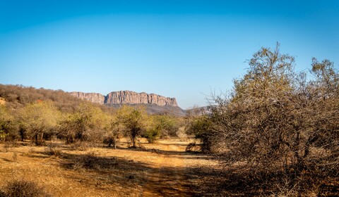 RANTHAMBORE -  RAMATHRA