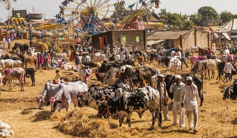 RAMATHRA  - CHAMBAL