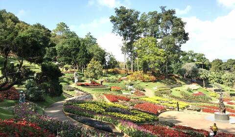 Chiang Rai  -  Mae Fah Luang  - Chiang Rai