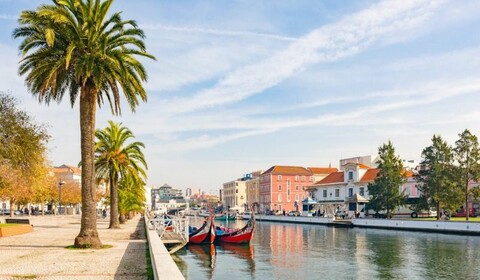 Viseu, Esmoriz, Aveiro.  Ria De Aveiro.