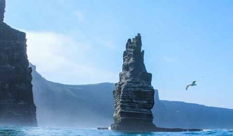 Galway.  Cliffs Of Moher, Burren.