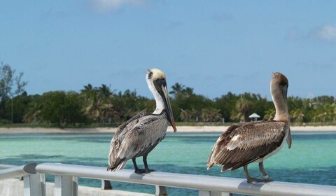 Key West, Overseas Highway.