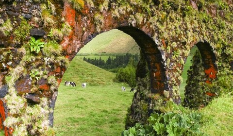 Ponta Delgada.  Aeroporto De Ponta Delgada São João Paulo Ii (Pdl).