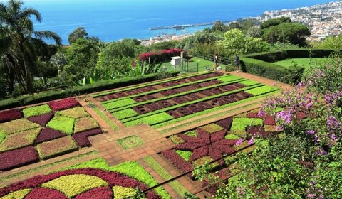 Funchal.  Monte Palace Tropical Garden.