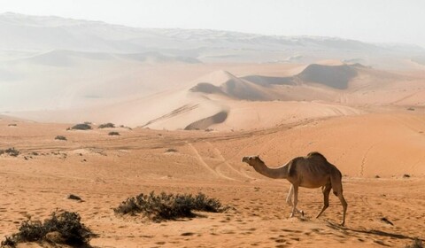 Dubai.  Desert Safari.