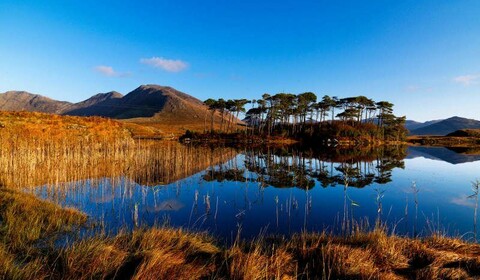 Galway.  Connemara National Park, Maam Cross, Clifden.