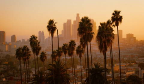 Beverly Hills, Hollywood, Griffith Observatory, Venice Beach, Santa Monica.