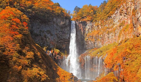 Tokyo (Nikko)