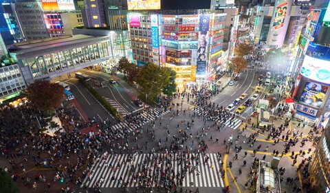 Tokyo (Shibuya, Harajuku & shopping geek)