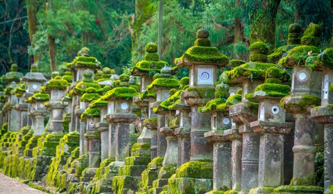 Kyoto (Nara)