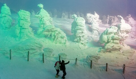 Zao Onsen (Juhyō, les « Snow Monsters »)
