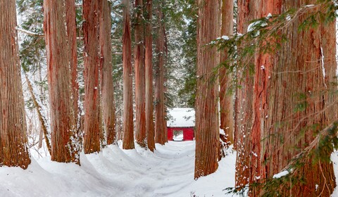 Zao Onsen → Togakushi