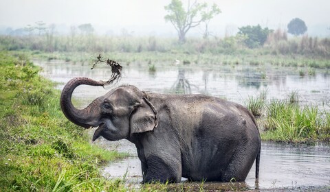 Dakshinkali - Narayani (B, L, D)