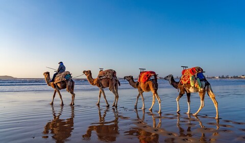 AGADIR – ESSAOUIRA – AGADIR