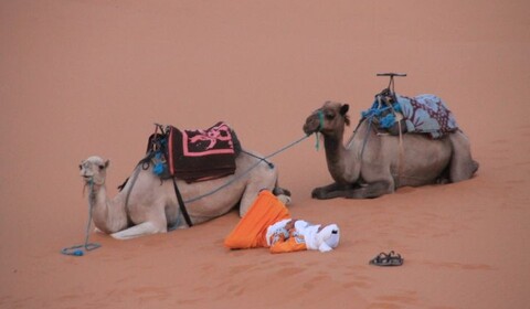 FÈS - IFRANE – MIDELT - MERZOUGA