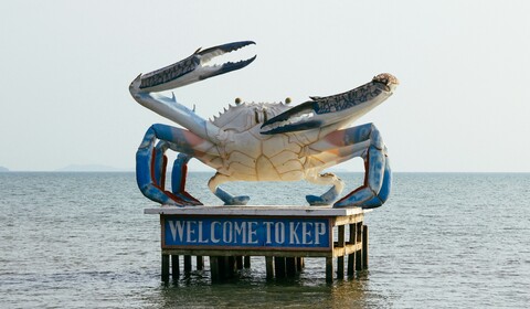 Kampot - Tour de tuk tuk pour découvrir la campagne