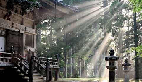 KYOTO / NARA / KOYASAN