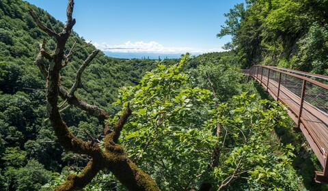 Kutaissi – Canyon d’Okatse – Becho