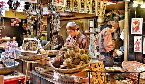 NAGOYA / IGA / KYOTO