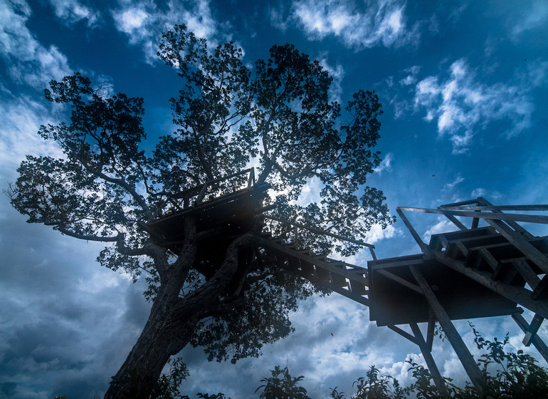 Heath River Wildlife Center