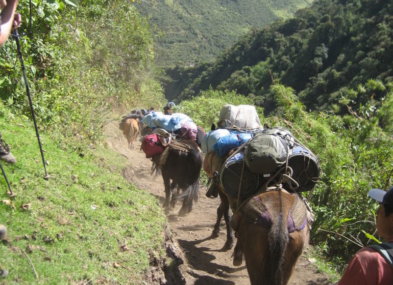 Salkantay Trek de lodge en lodge