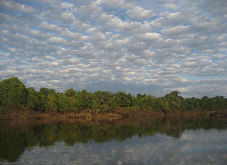 Brésil Voyage Pantanal sur l'eau