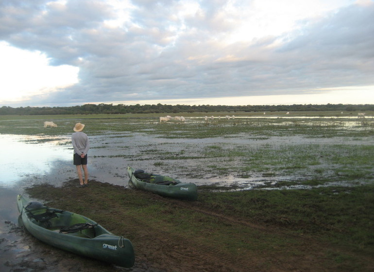 Brésil Voyage Pantanal marécages bateaux