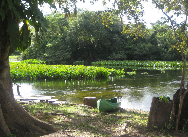 Brésil Voyage Pantanal Refugio da Ilha rivière